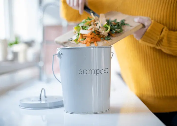 Evde Kompost Nasıl Yapılır?