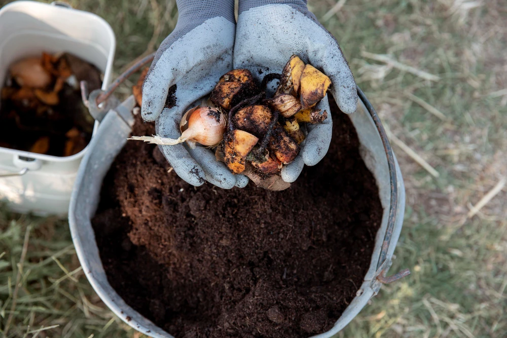 Soil Friendly: Compost Making and Steps