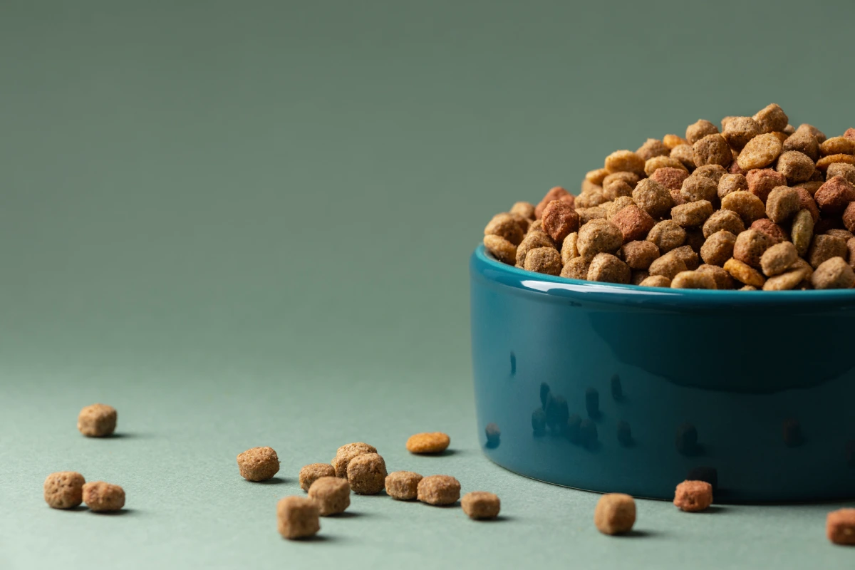 Guía Completa de Comida Orgánica para Gatos
